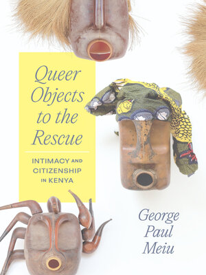 cover image of Queer Objects to the Rescue